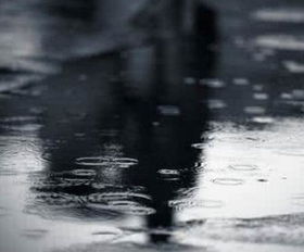 梦见下雨一定生女孩吗周公解梦