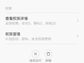 哦哦哦哦哦，这是什么歌