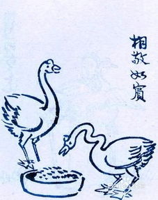 相敬如宾的意思是什么