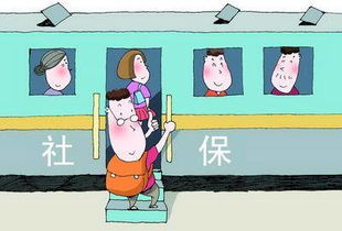 社保自己缴费怎么办理