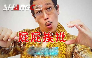 PPAP是什么?   急急急！！！