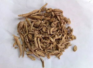 农村种植什么药材最赚钱