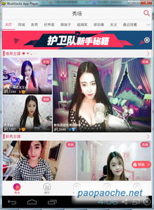 视频秀场看什么?