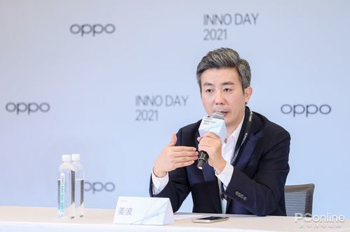 项目总监是干什么的