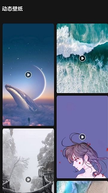 LR是什么意思？