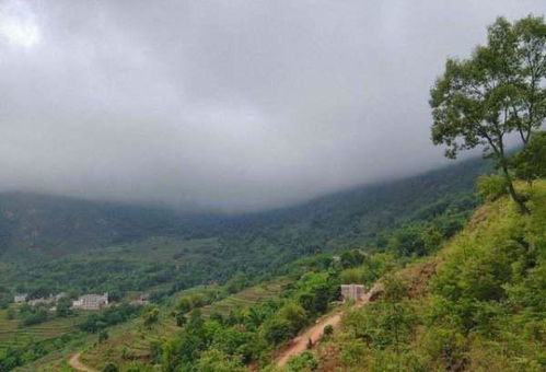 农村乡镇适合做什么生意