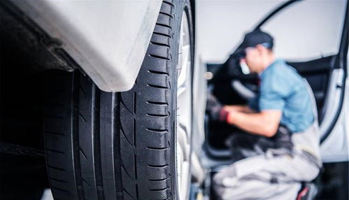 后年投资创业新门路,后年投资创业行业