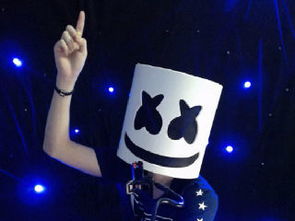 marsh harrier,marsh king