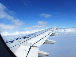 坐飞机注意事项和不能带的东西，坐飞机不能带的物品清单