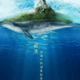 巨鲸音乐盒,巨鲸音乐网官网