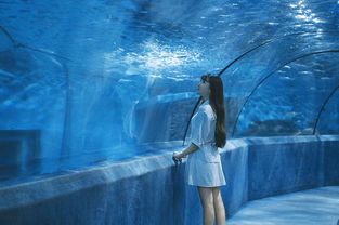 求韩剧蓝色大海的传说百度云