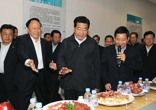 常委是什么意思？