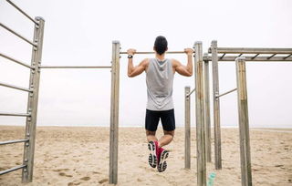 引体向上图片示范图