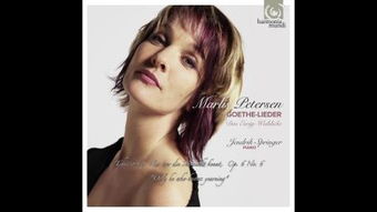 Wer是什么意思？