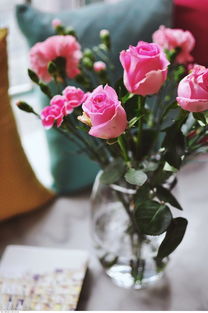 花点时间新零售主要做些什么？