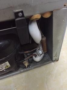 冰箱漏水是怎么回事怎么解决视频
