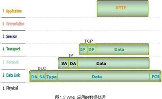 怎样分析一个网站的真实流量