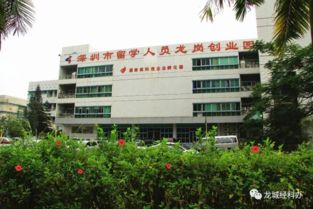 海南设立留学生创业园区政府有什么优惠政策