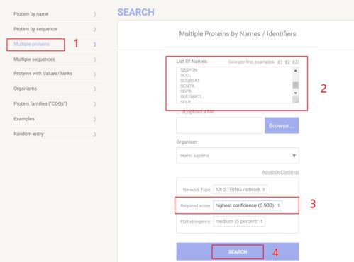 什么手机软件可以绘制主题网络图