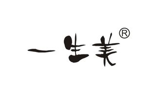 有没有人听说过一生美的，好不好用？