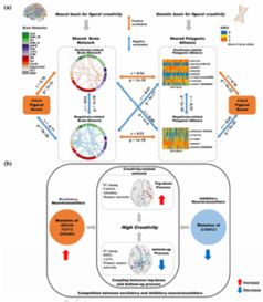 创造性思维的特点包括,创造性思维的特点是哪两个