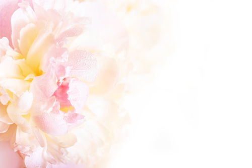 跟花瓣网一个性质的平面设计网站有哪些