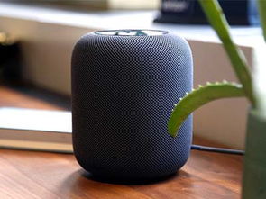 homepod怎么连接?