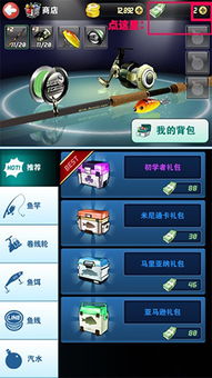 "发烧友"是什么意思?