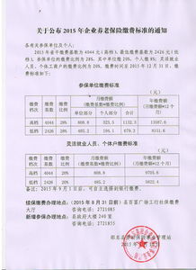 2017个人养老保险交费标准表