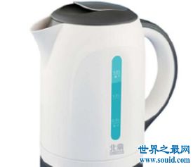 中国十大电热水壶品牌有哪些？