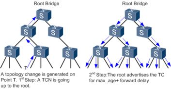 stp 文件,stp global enable
