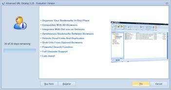 ie内核浏览器怎么设置,ie内核浏览器是什么意思