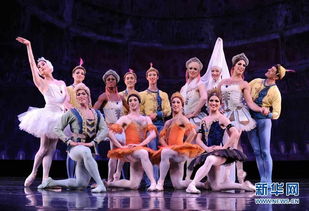 舞团公告 和舞团简介