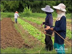 在农村如何创业致富
