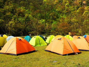 旅行常识中帐篷的种类有哪些