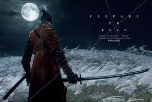 只狼的归还结局怎么打？