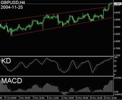评述是什么意思?