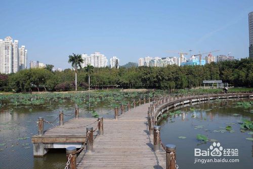 深圳有什么好玩的免费景点