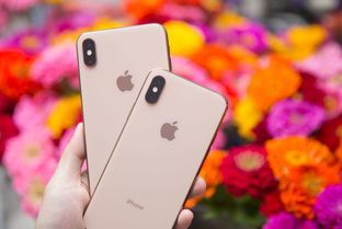 iphonexsmax参数配置详细参数