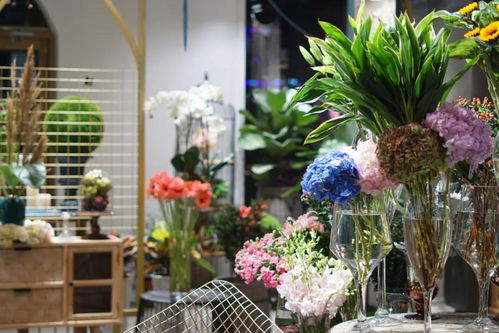 学开花店去哪学？