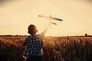 曹操吃鸡肋歇后语是什么