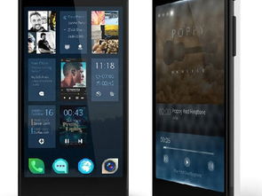 sailfish是什么意思