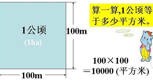 1平方米等于多少公顷？