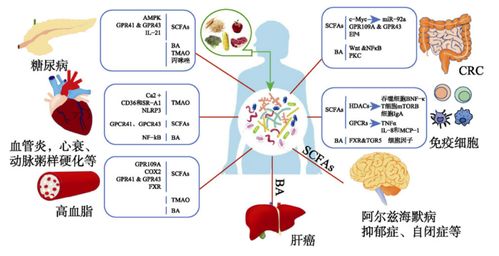 相关系数多少算具有相关性？