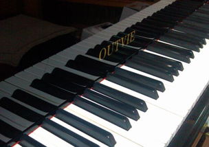 钢琴品牌排行榜前十名,钢琴品牌排行榜及价位