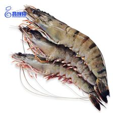 黑虎虾是海虾还是河虾