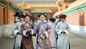 延禧攻略大结局怎样,延禧攻略大结局太后为何不杀袁春望