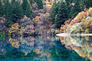 九寨沟旅行社联系电话