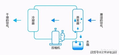 新风系统除湿机,空气除湿机