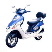 电动自行车什么牌子好